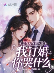 追你时你不在意我订婚你哭什么免费阅读